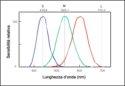 lunghezza d'onda normale