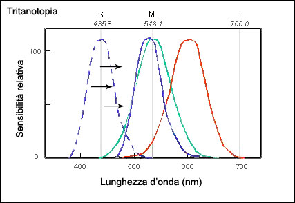 lunghezza d'onda tritano